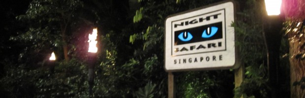Night Safari