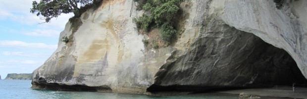 North Island and East Cape - 009