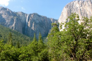 Yosemite National Park